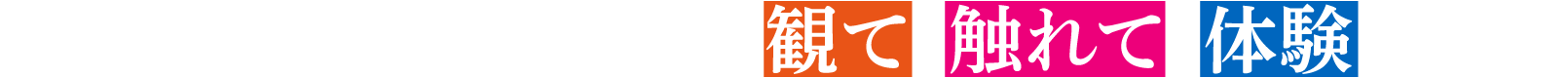 日本のものづくりの技を、観て、触れて、体験しよう。